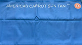 Blue tanning bed with &